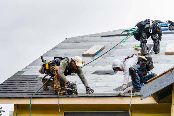 Professional Gutter Installation technician working in San Lorenzo, CA
